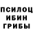 Галлюциногенные грибы Cubensis Serko Graffiti