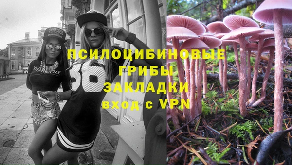 ПСИЛОЦИБИНОВЫЕ ГРИБЫ Абдулино
