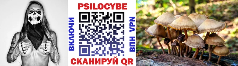 Псилоцибиновые грибы MAGIC MUSHROOMS  Таштагол 
